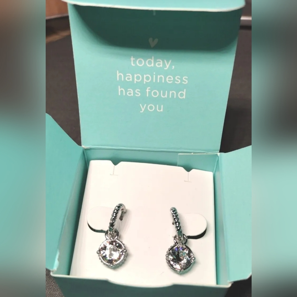 Origami Owl Earrings SILVER CONVERTIBLE ROPE DROP W/ SWAROVSKI CRYSTALS (ER2110)